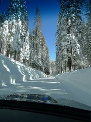 Yosemite_Valley (32)